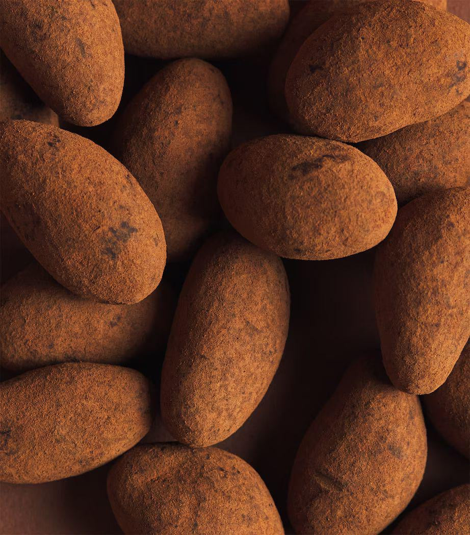 جوز البرازيل مغطى ببودرة الكاكاو (325 جرام)
                           Cocoa-Dusted Brazil Nuts (325g)